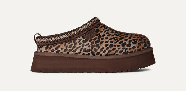 ciabatta1178430 tazz platform leopardata caspian ugg