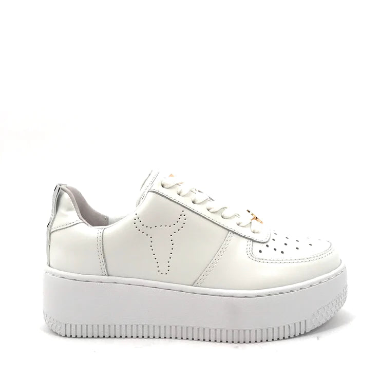 White green butterfly pattern print shoe sneaker | Womens sneakers shoes  online 2476WS